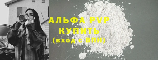PSILOCYBIN Аркадак