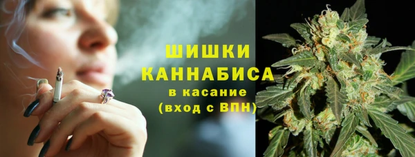 сатива Арсеньев
