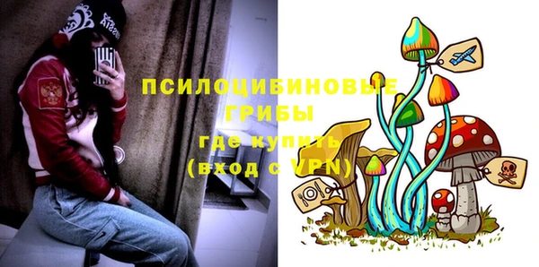 гашик Армянск