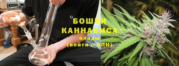 сатива Арсеньев