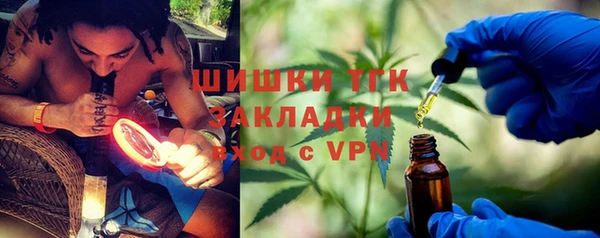 сатива Арсеньев