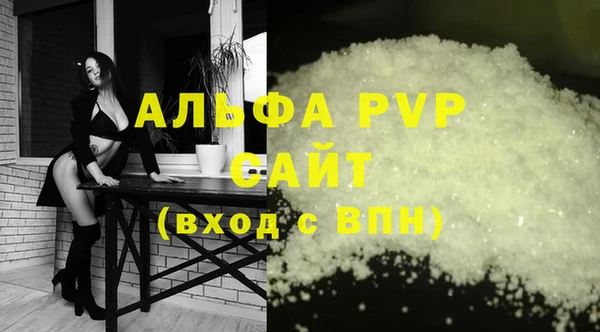 PSILOCYBIN Аркадак